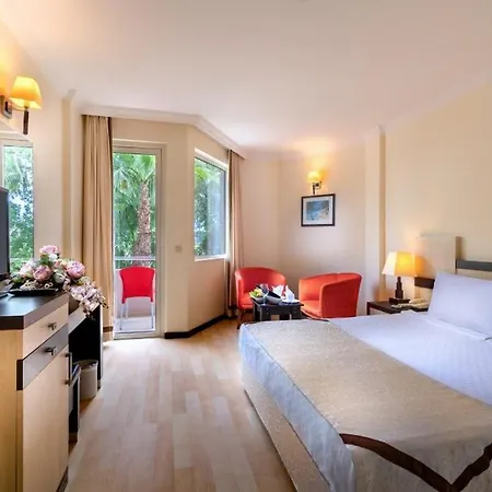 Random By Lookbookholiday 시데