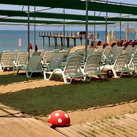 Random By Lookbookholiday