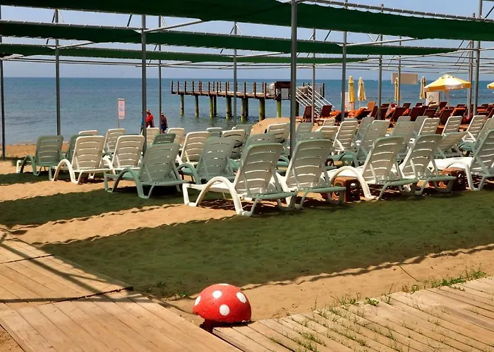 Random By Lookbookholiday