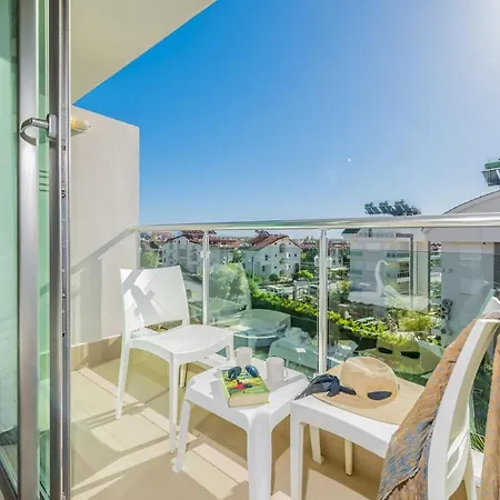 Random By Lookbookholiday 锡德