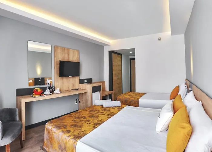 Random By Lookbookholiday 锡德