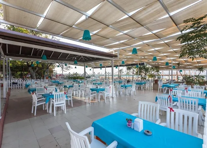 Random By Lookbookholiday 4* 锡德