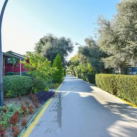 Random By Lookbookholiday Hotel 4*