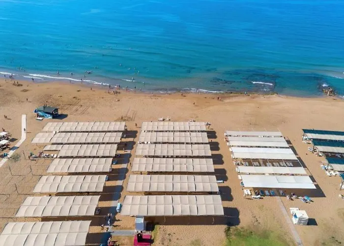 Random By Lookbookholiday